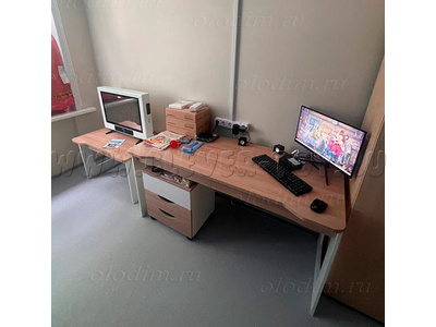 Рабочее место Логопеда (ЛогоМир)