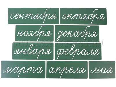 Магнитные карточки "Месяцы" (фон зелёный)