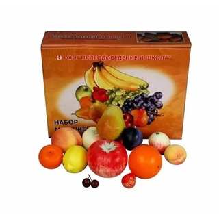 Набор муляжей фруктов (большой)