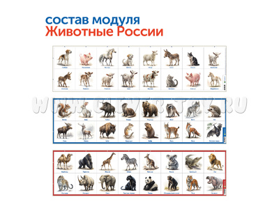 Природные богатства России с РобоМышью с системой хранения (4 робота)