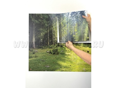 Магнитный плакат Лес без набора карточек (мобильный)