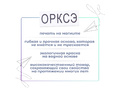 Магнитная карточка "ОРКСЭ" (фон белый)
