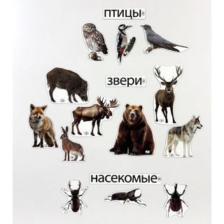 Набор магнитных карточек Кто живёт в лесу (к плакату Лес, тема 2)